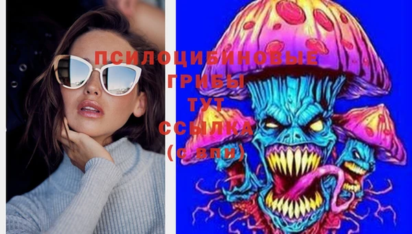 стаф Алзамай