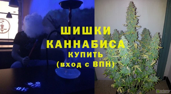 стаф Алзамай