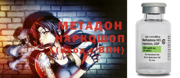 стаф Алзамай