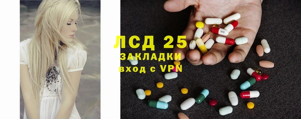 стаф Алзамай