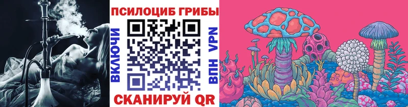 Галлюциногенные грибы Psilocybe  закладки  Байкальск 