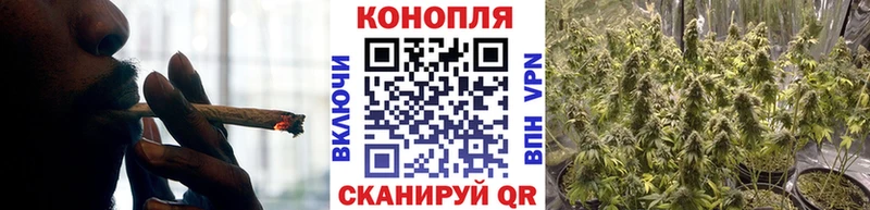 наркошоп  Байкальск  Конопля ГИДРОПОН 